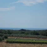 Vesna * Нова-Вас